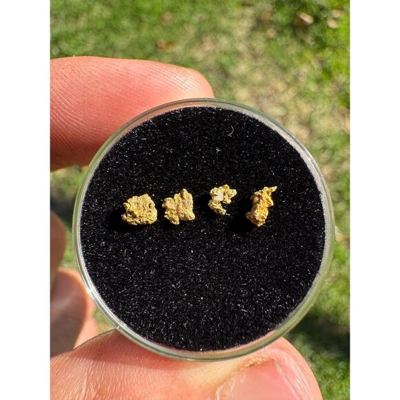 Small Arizona Gold Nuggets in Display Case - 0.15 grams - Picture 4 of 8